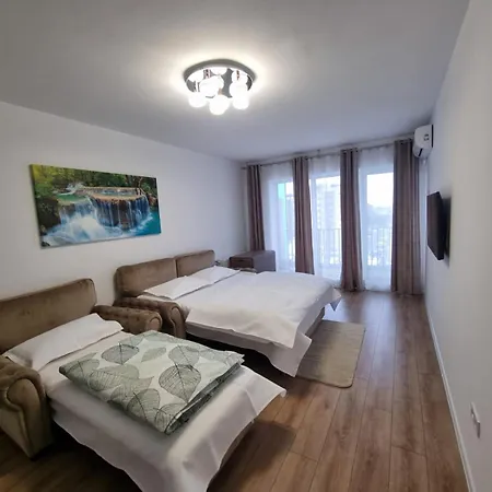 Casa Ta La Munte-3